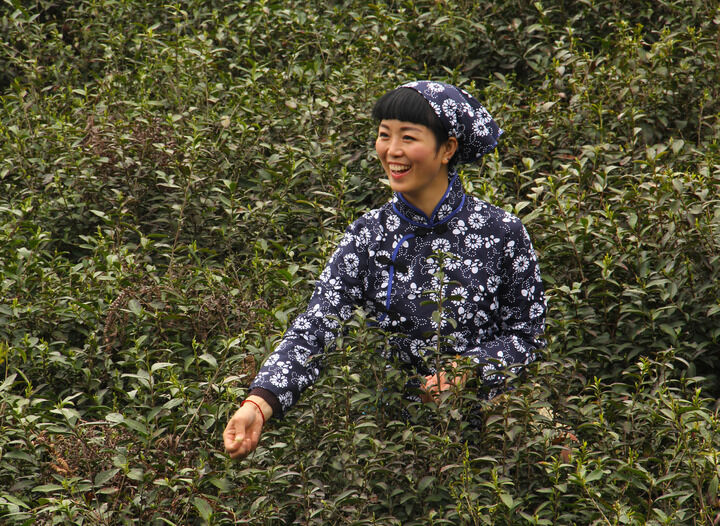 更新6